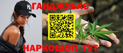 сатива Будённовск