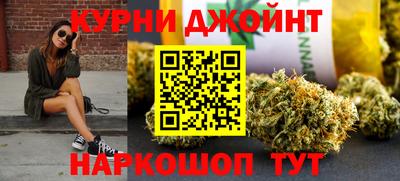 сатива Будённовск