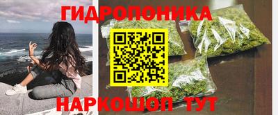 сатива Будённовск