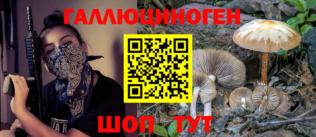Псилоцибиновые грибы Psilocybe Кулебаки